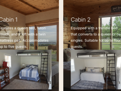 Bird's Nest Bunkies & Barn LLC